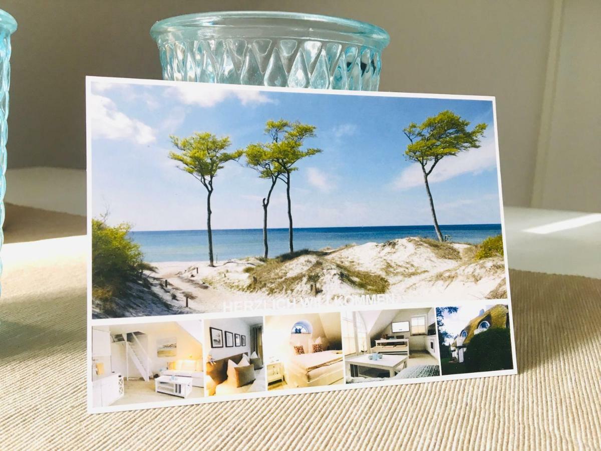 Ferienwohnung Schwalbe Wieck/Darss Dış mekan fotoğraf